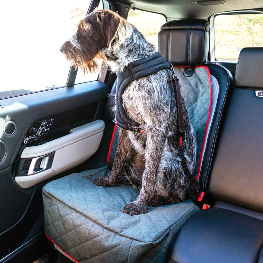 KONG Hundeautogurt