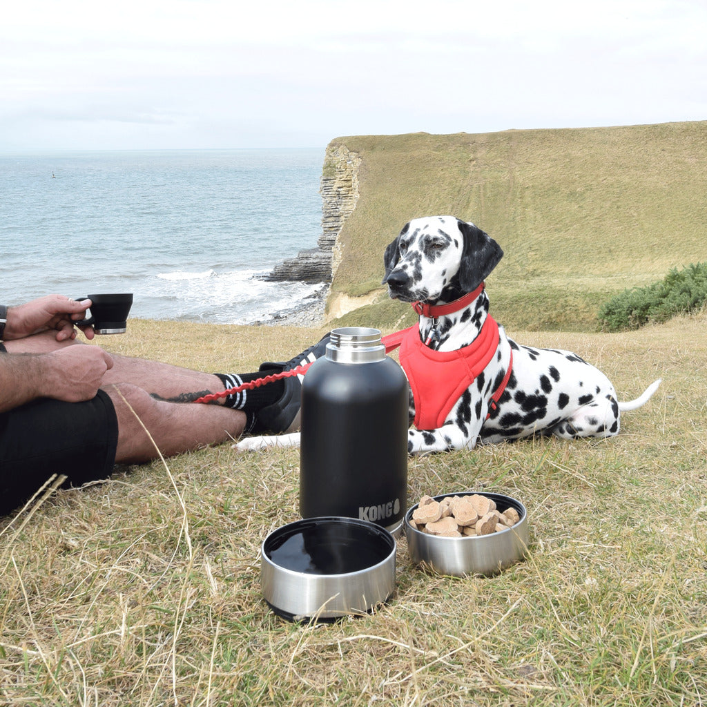 KONG Duo Day Trek XL 1820 ml