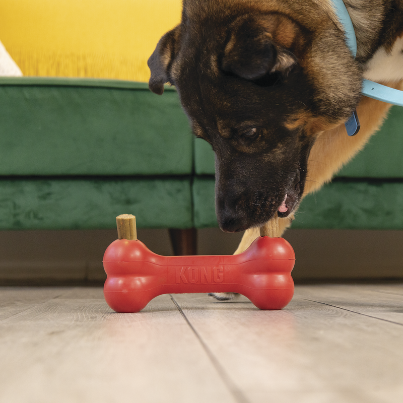 KONG Enhanced Ziggies S