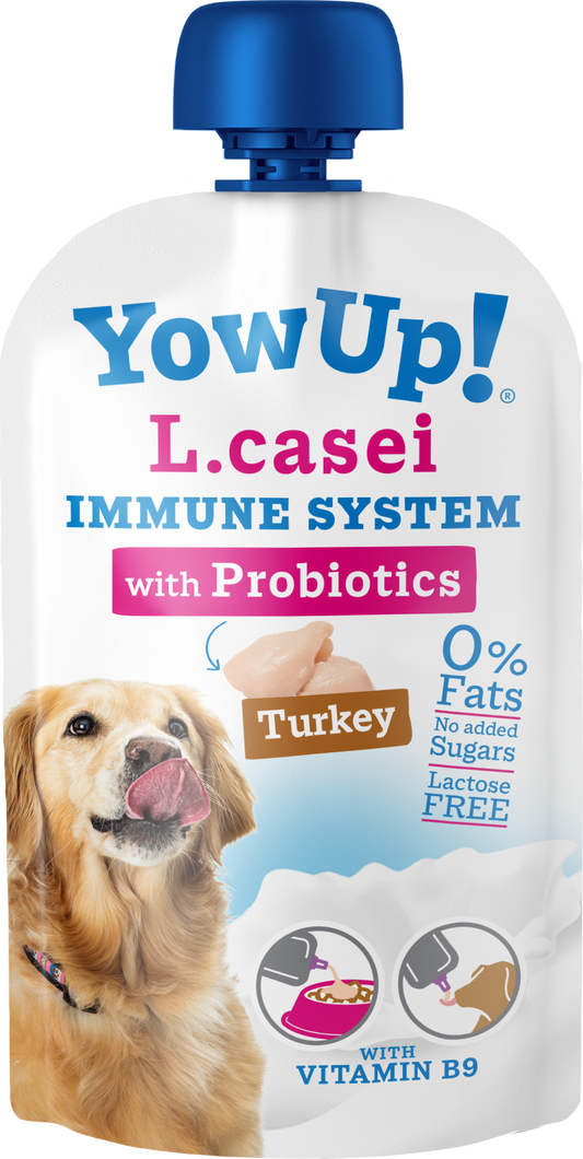 YowUp! L. Casei Immune System Turkey Hund