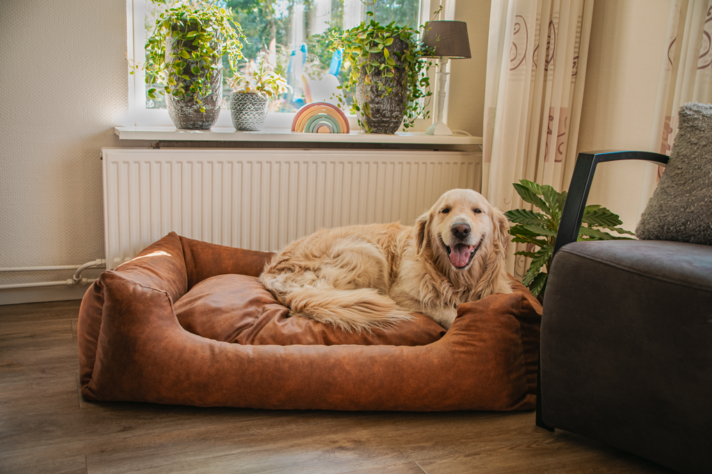 Let's Sleep Sweet Dreams Hundekorb Mit Kissen XL Anthrazit