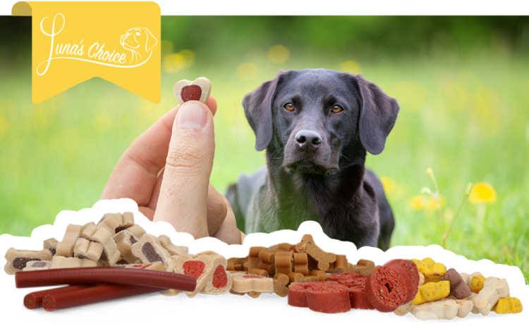 Luna's Choice Trainer Mix Rinderringen