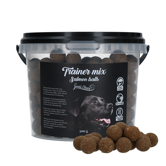 Luna's Choice Trainer Mix Lachsbällchen (glutenfrei)