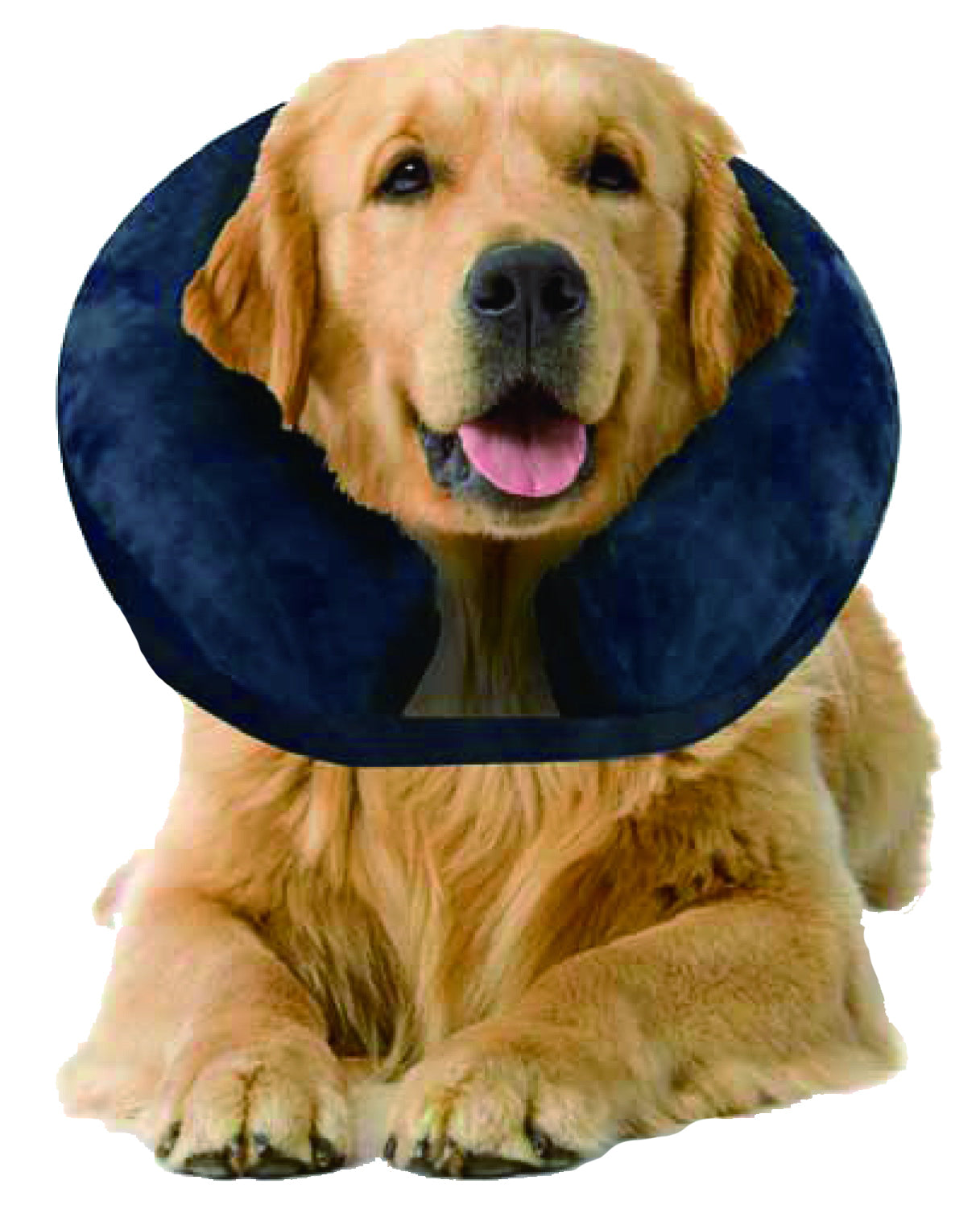 Pawise Inflatable Protective Collar M