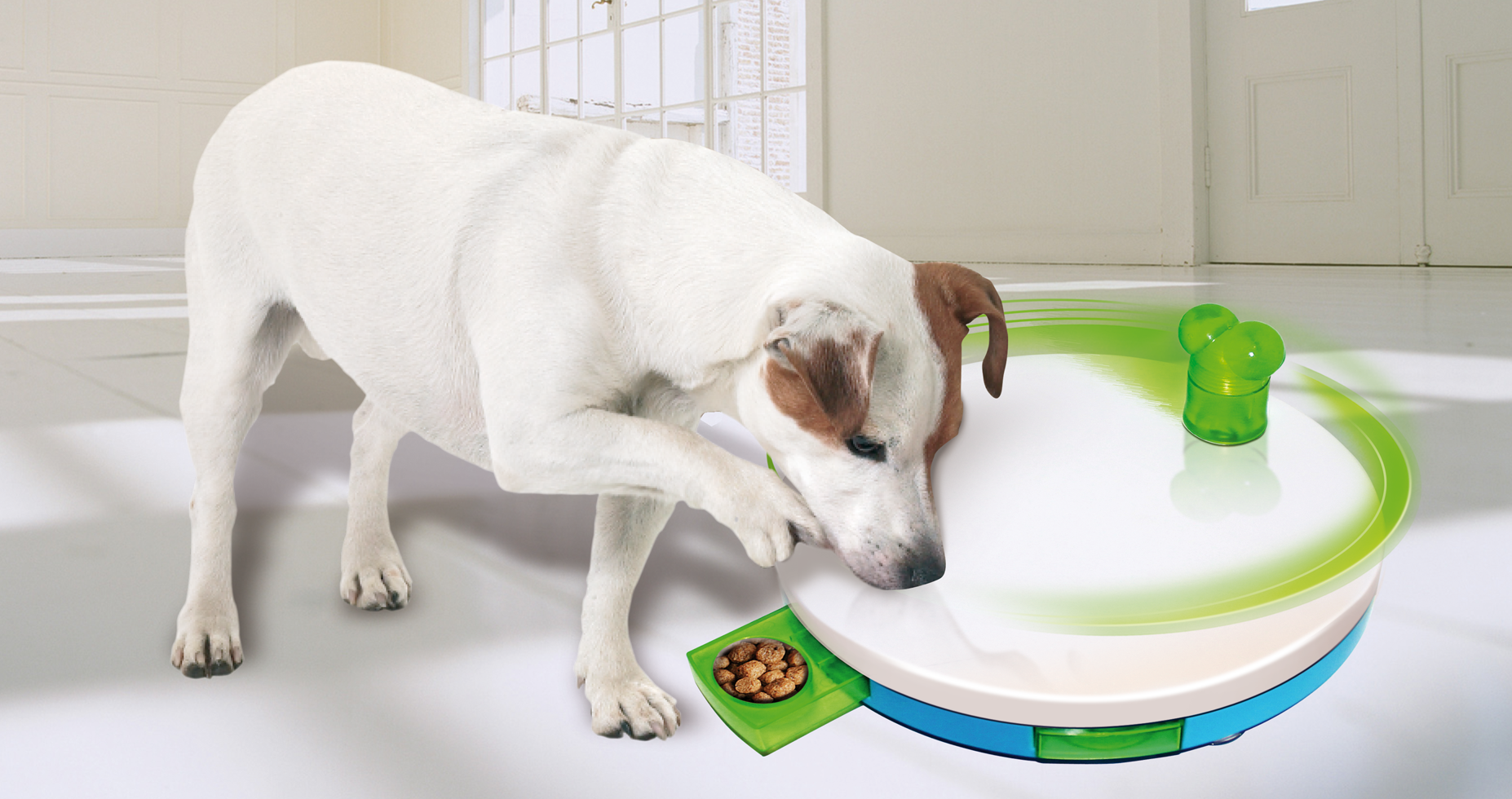 Pawise Dog training toy - Level 2 Spinning Feeder