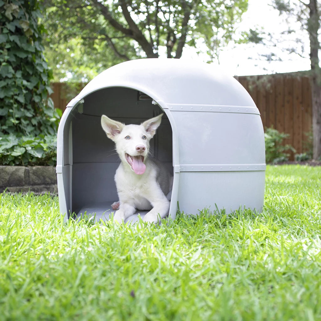 Husky Hundehaus