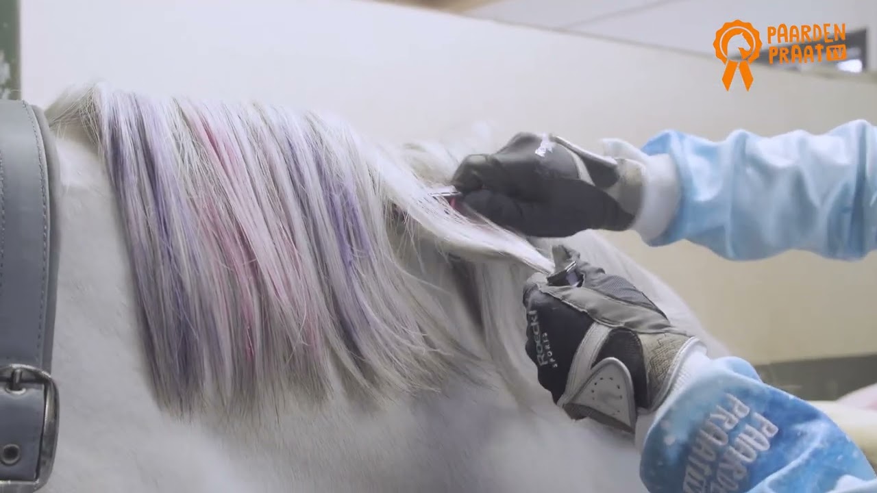 Paardenpraat Regenboog Kleurkrijt