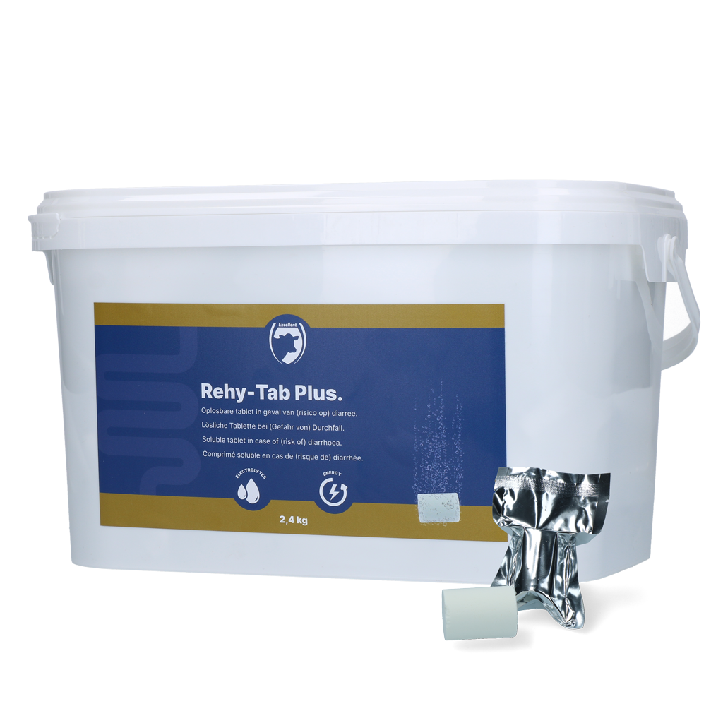 Excellent Rehy-Tab Plus (Brausetablette Durchfall) 2,4 kg (48 tabs)