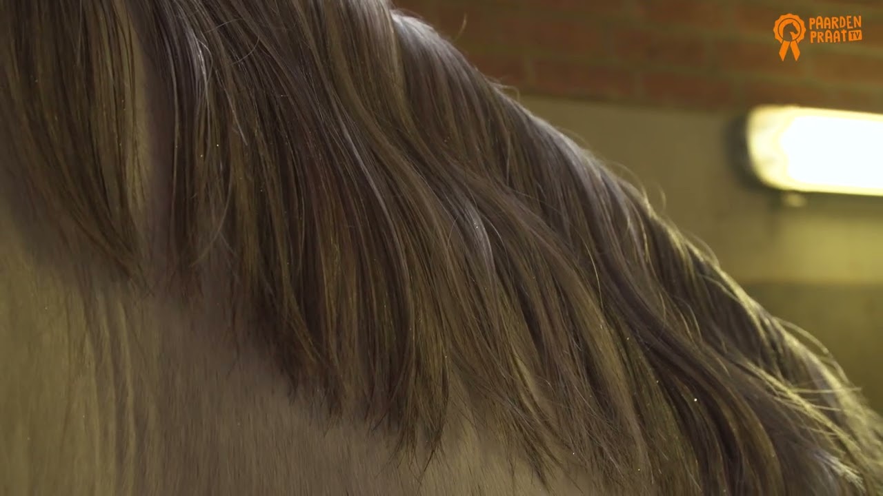 Paardenpraat TV Glitter Glamour Spray Türkis