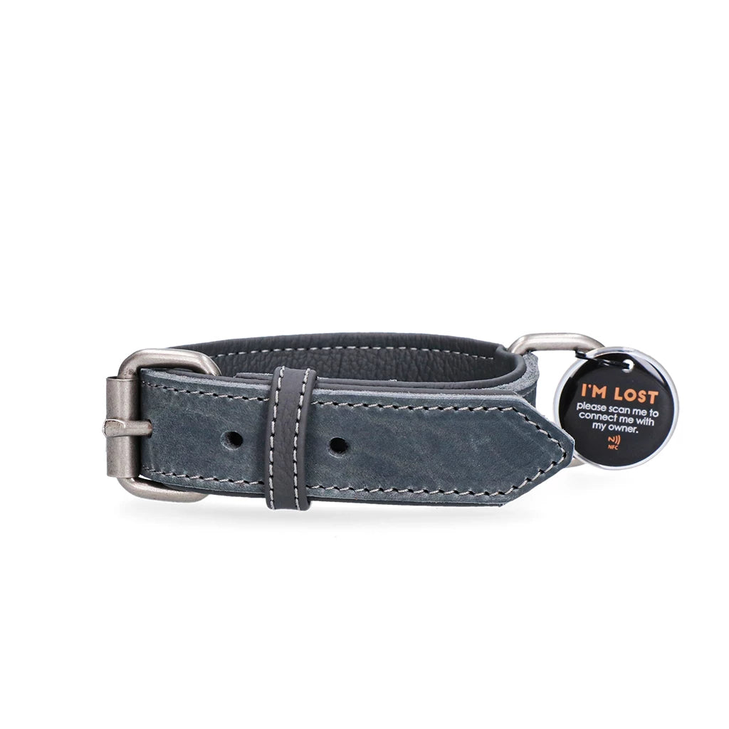 Spotted! Lederhalsband Hundetag