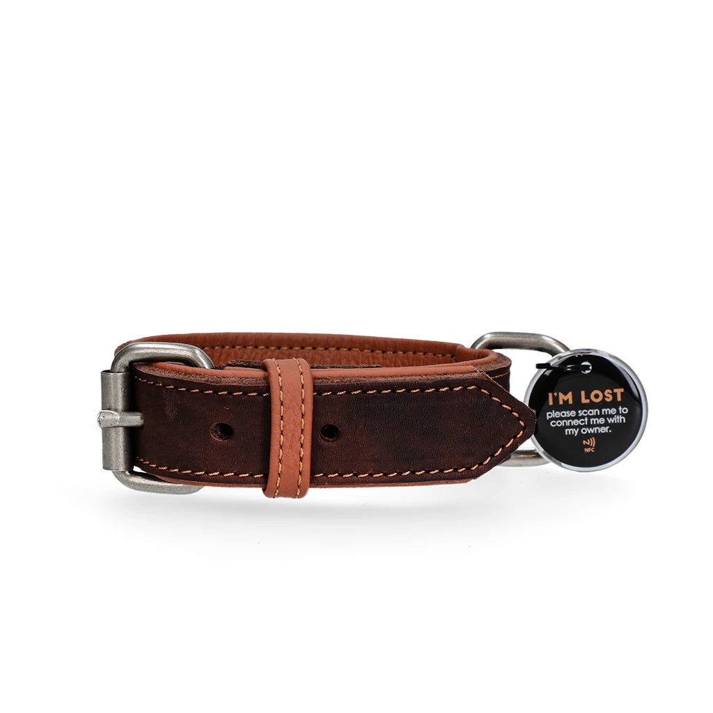 Spotted! Lederhalsband Hundetag