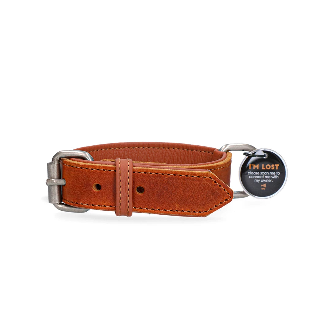 Spotted! Lederhalsband Hundetag