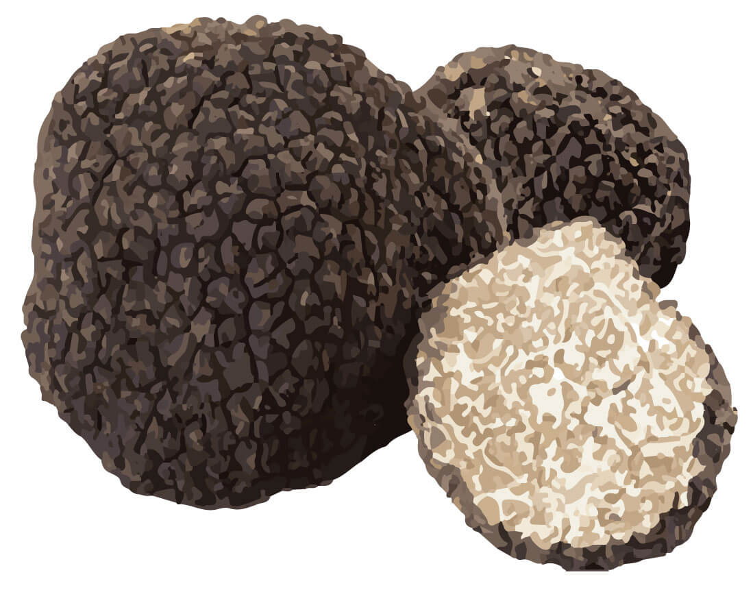 SwissCowers Cheese Bars Truffle L