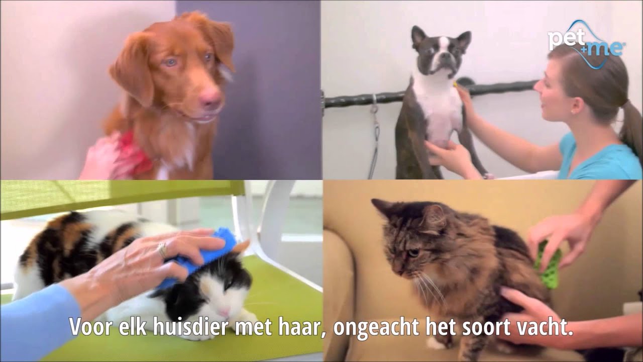 Pet+Me Dog Bürste Langhaar Rot