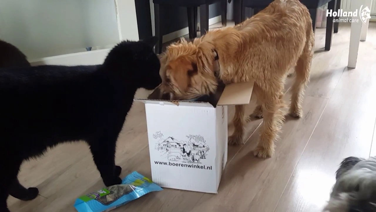 Braaaf Soft Snack Lachsstabchen mit Karotten und grunen