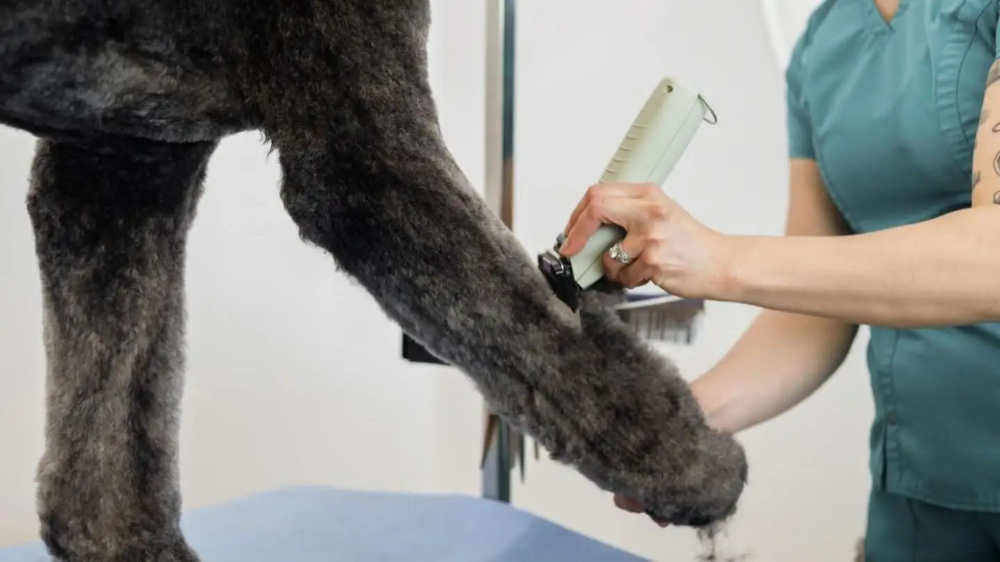 Wahl KMC+ Kabel-/Kabelloser Trimmer