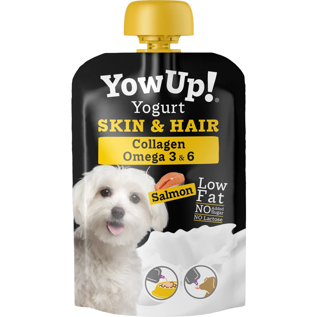 YowUp! Yogurt