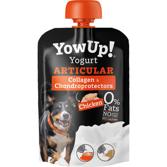 YowUp! Yogurt Dogs Chicken Articular