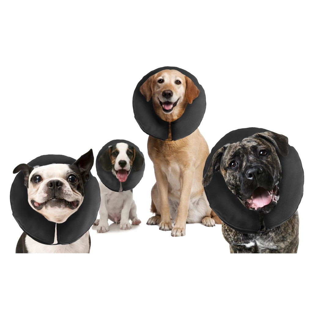 ZenCollar ProCollar
