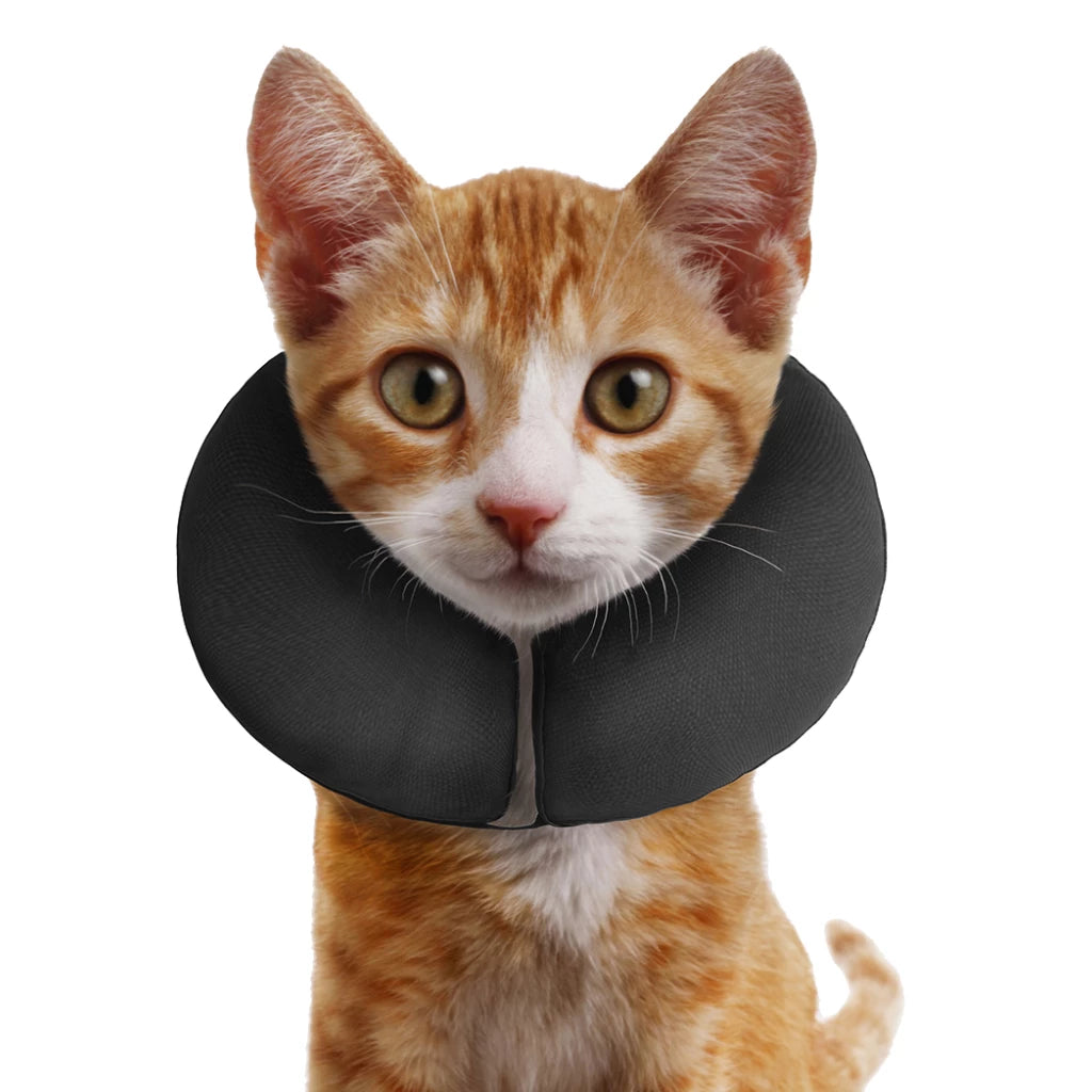 ZenCollar ProCollar