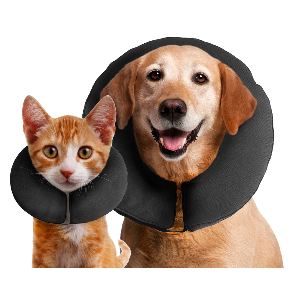 ZenCollar ProCollar