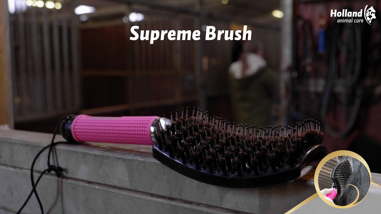 Excellent Horse Supreme Brush Gold