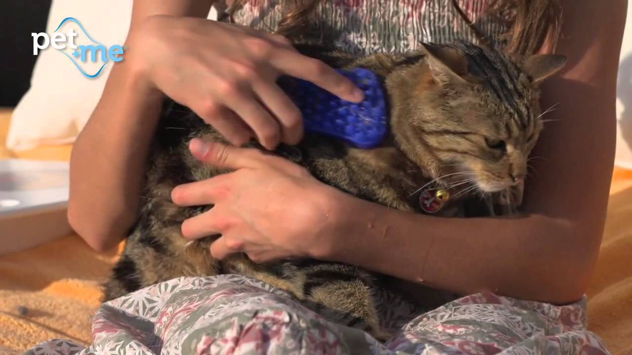 Pet+Me Dog Bürste Kurzhaar Gelb