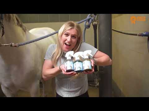 Package Deal Paardenpraat TV