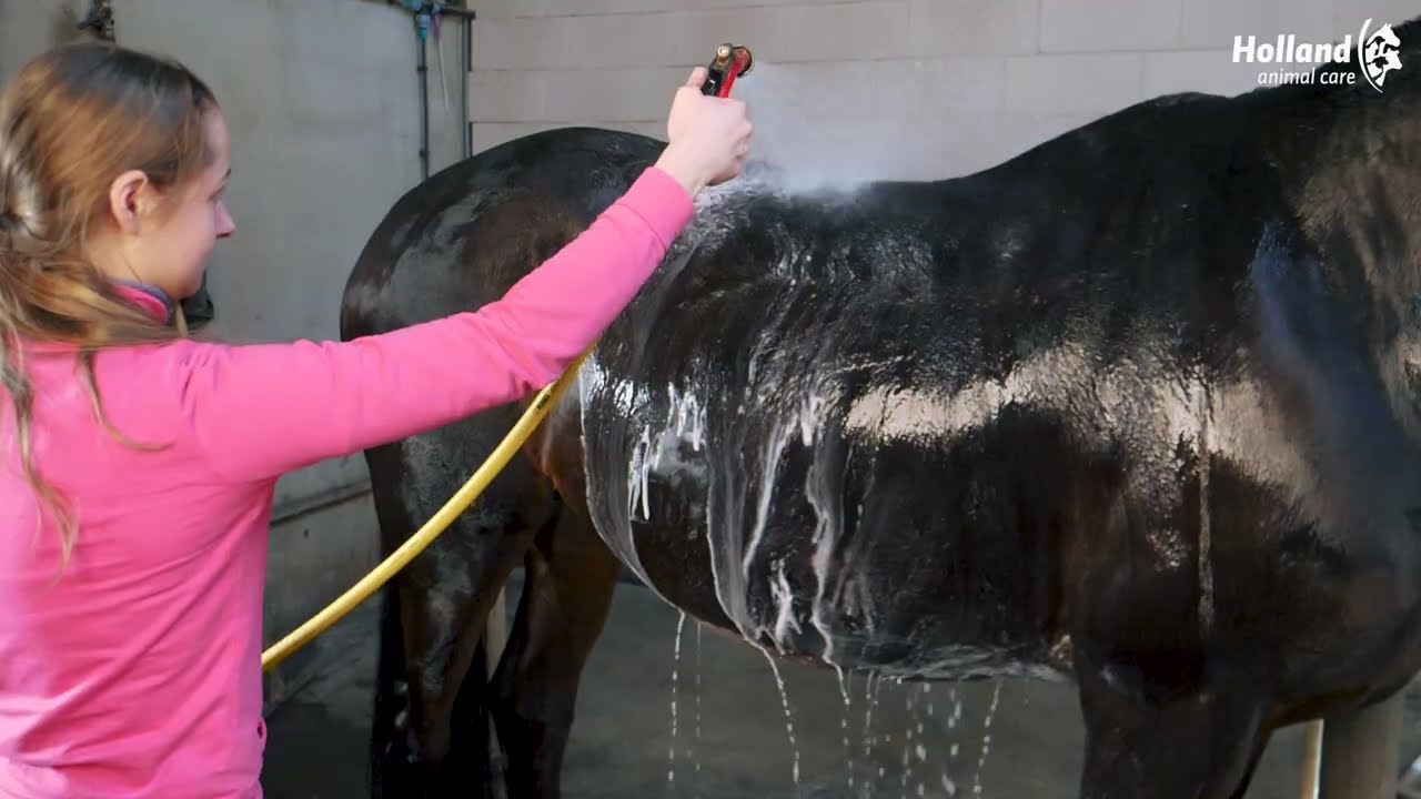 Excellent Horse Grooming Brush L Rosa