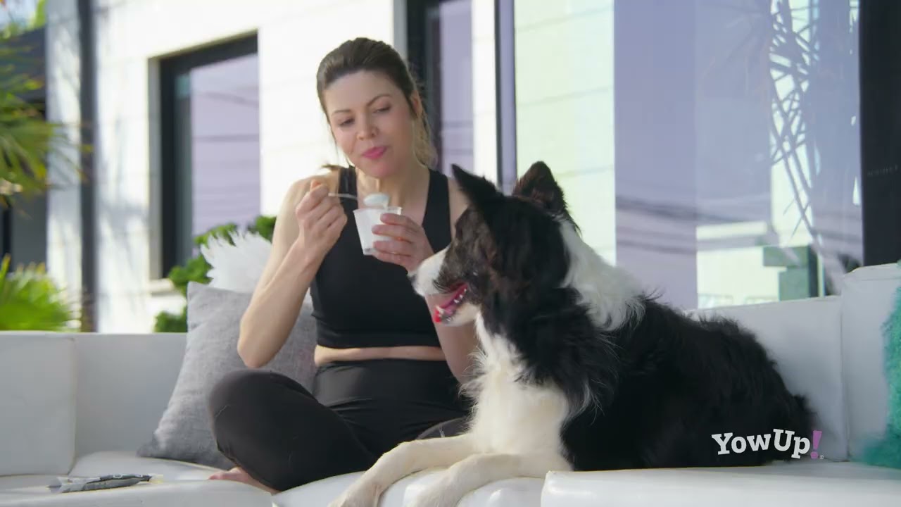 YowUp! Yogurt Dogs Chicken Articular