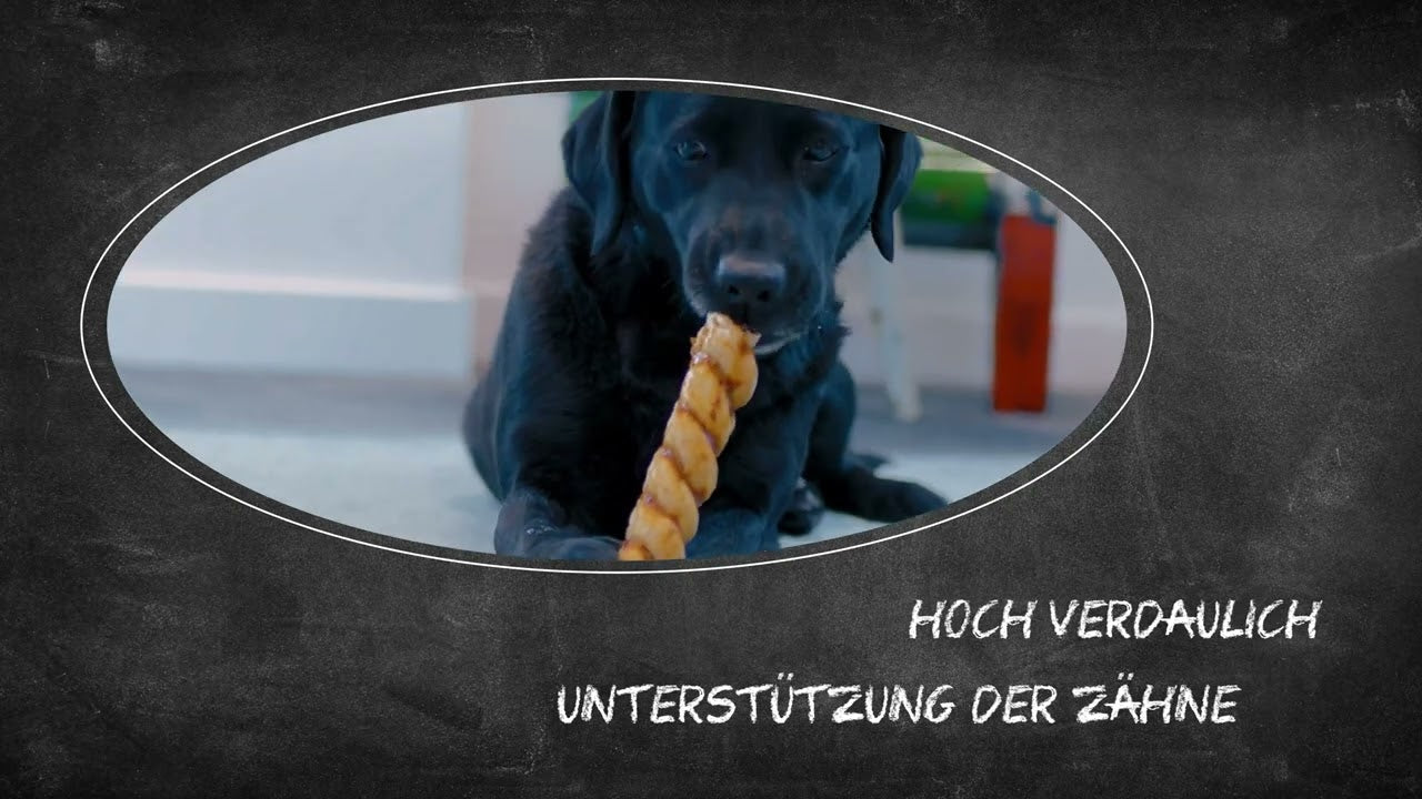 Luna's Choice Collagen Chews Stick Lachs XL